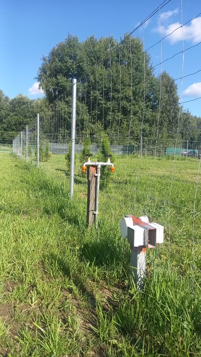 Działka nad jeziorem - roczna dzierżawa pod przyczepę, kamper