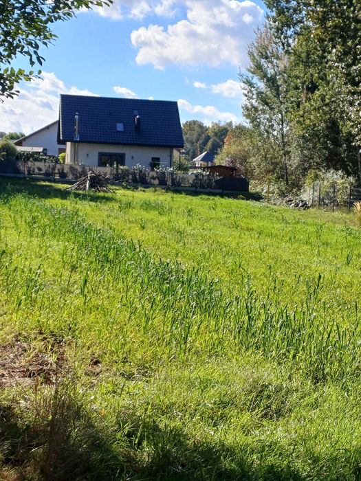 Dzałka dudowlana uzbrojona zory-rój - Widok 2