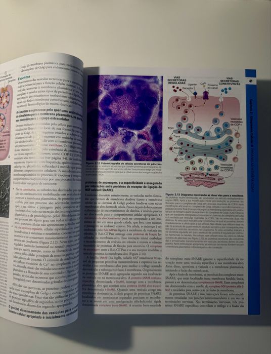 Livro Ross Histologia 8° edição, em Português