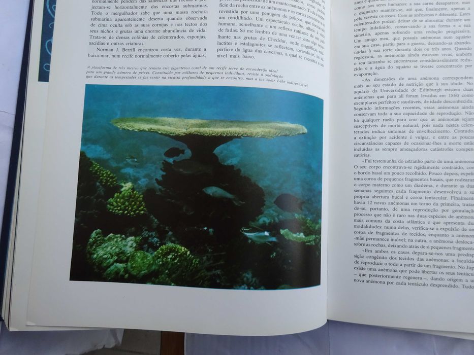 O Grande Livro dos Oceanos