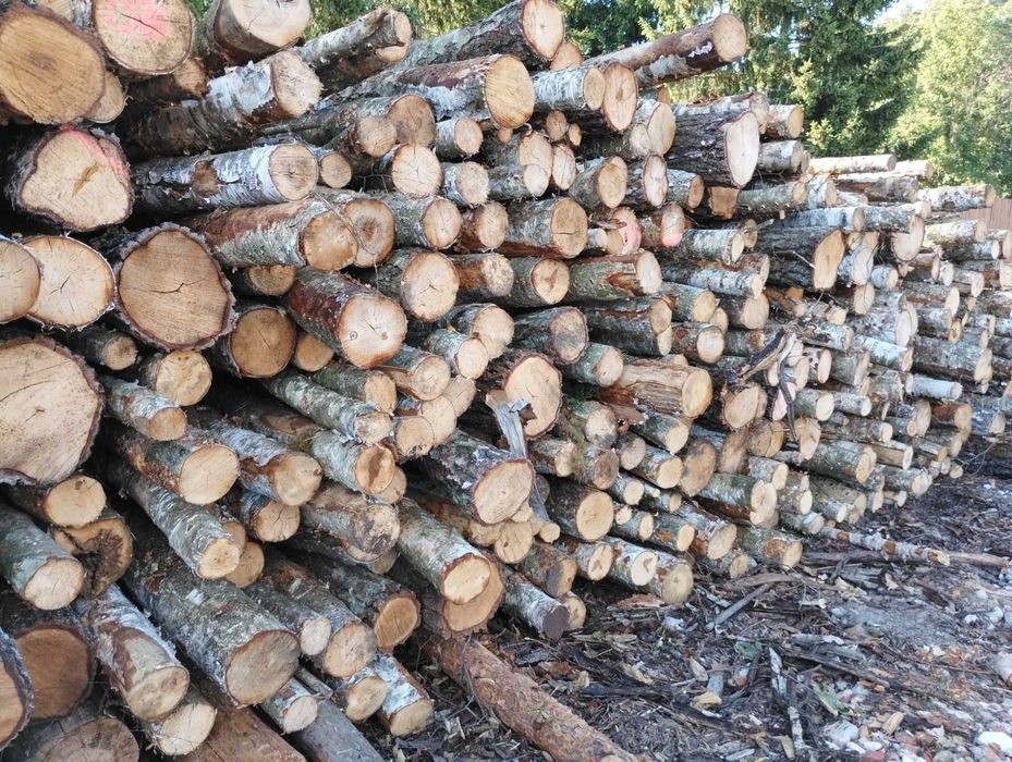 Drewno kominkowe opałowe liściaste brzoza