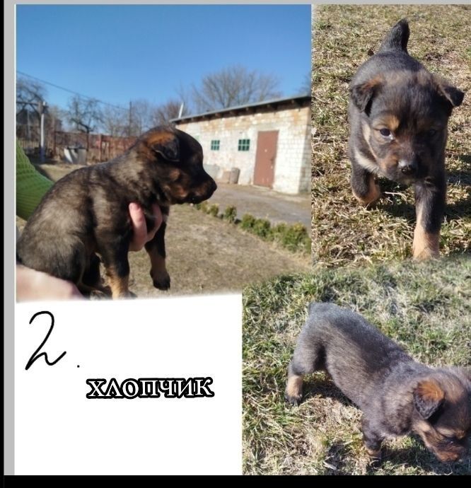 шукають твоє тепле серце