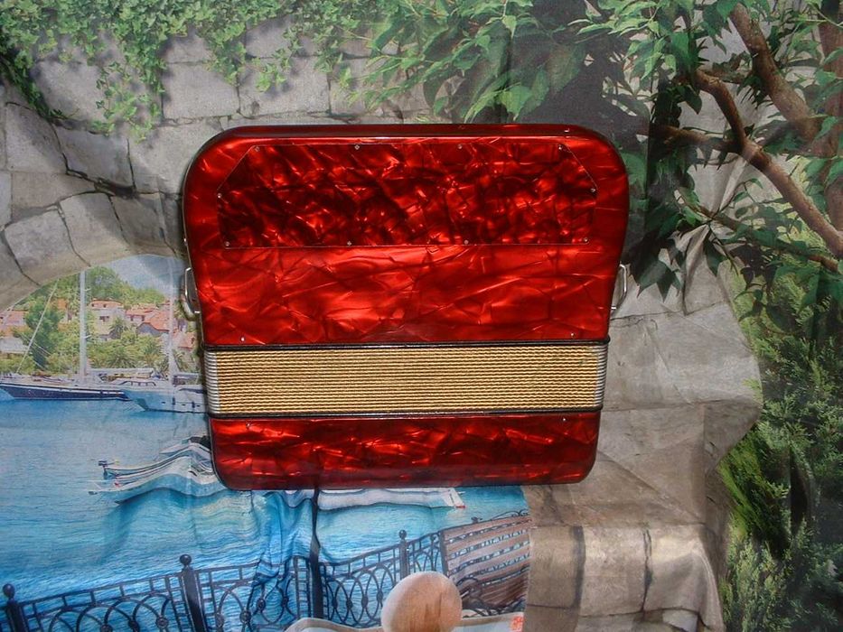 Concertina a venda n.749