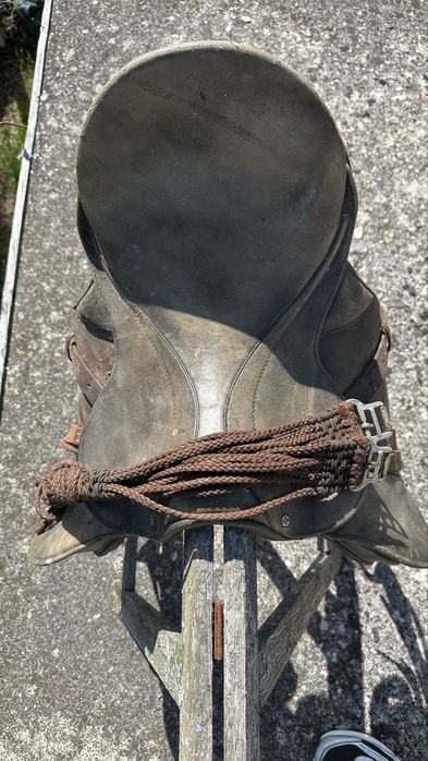 Cela para Cavalo Equitação