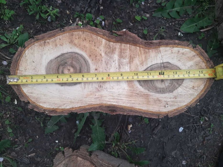 Спили/зрізи/слеби горіха торцеві. Спилы/срезы/слэбы деревьев ореха