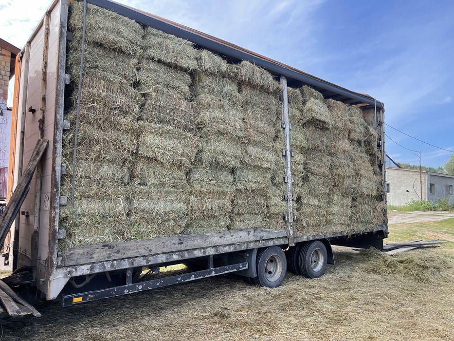 Сіно лугове різнотравʼя в тюках | Від виробника