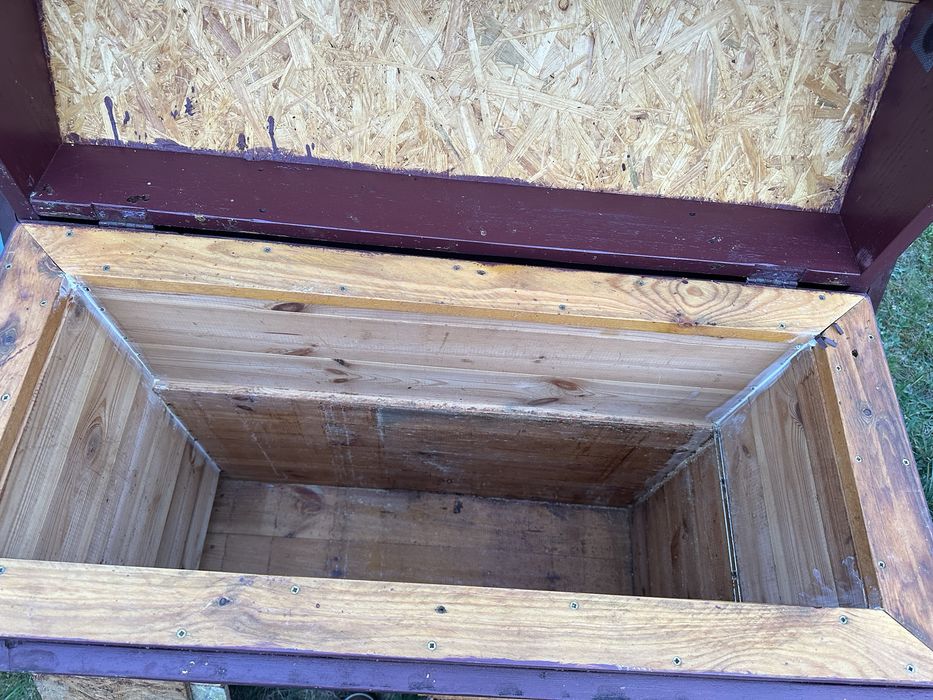 Ule Warszawskie zwykłe