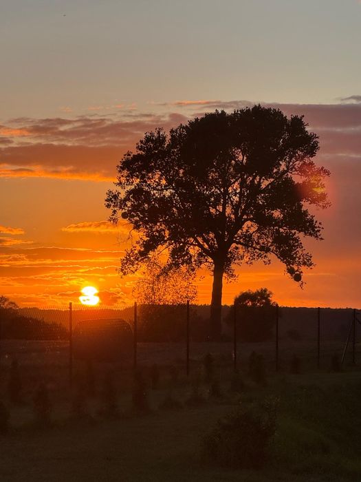 Domek letniskowy z łowiskiem. Całoroczny. 10km od Kwidzyna