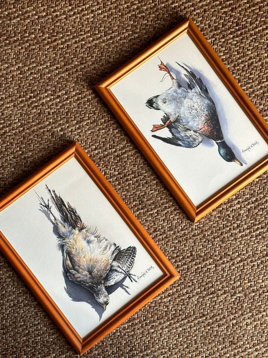 Quadros pinturas com pato real e codorniz