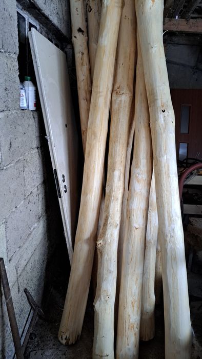 Bale stemple z klonu  na huśtawkę słupki  lub inne