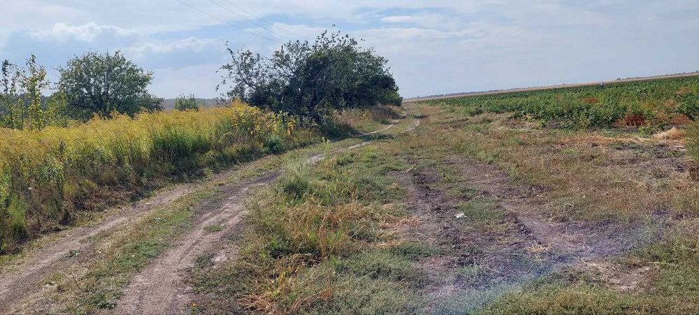 12 сот під садівництво Великі Дмитровичі