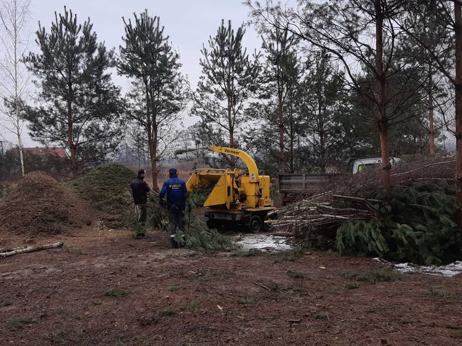Wycinka Drzew Rębakowanie Gałęzi Podniośnik Koparka