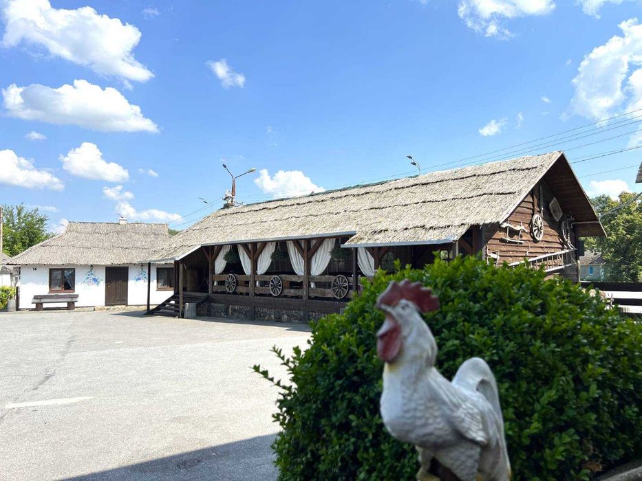 Продається діючий бізнес в Дяківцях