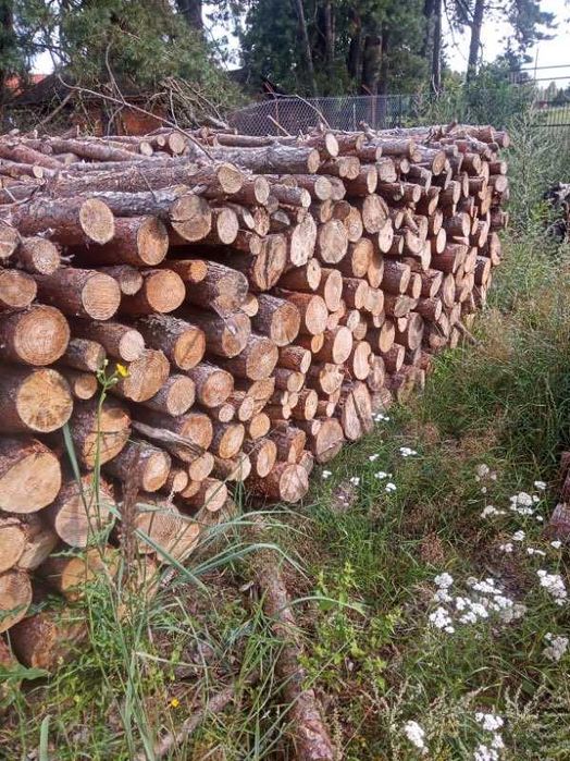 drewno opałowe suche sosna , brzoza, olcha, mieszane