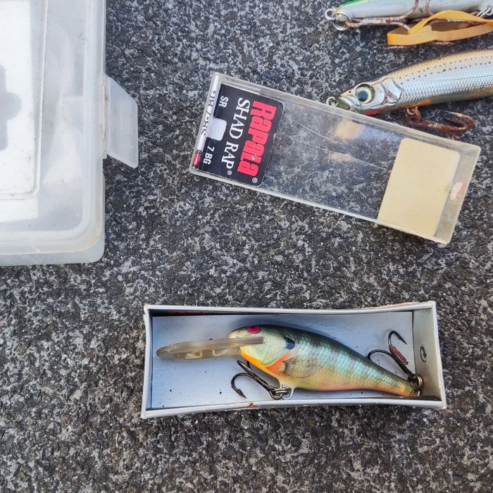 material pesca barco e apeada