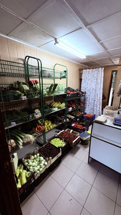 Warzywniak, kiosk. Dochodowy biznes. Krowodrza.