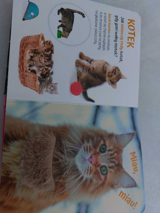 Książeczki dla dziecka