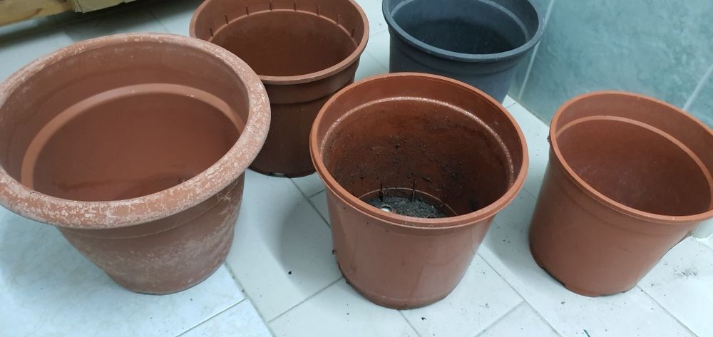 Vasos em.bom estado