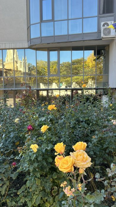 Сдам шикарную квартиру в Аркадии с видом на море