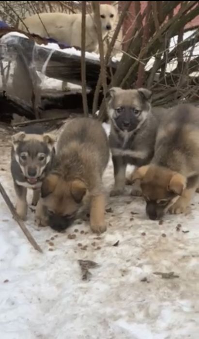 Хлопчик в добрі руки!