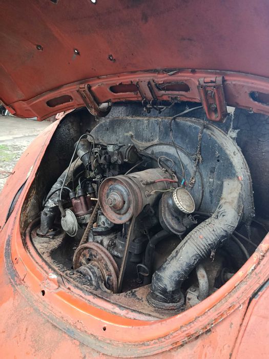 VW Beetle/Carocha 1.3