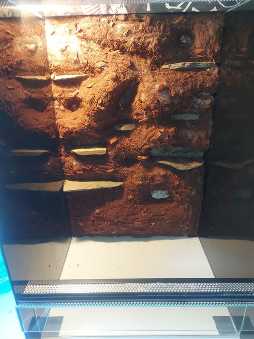Terrarium szklane 40x40x60
