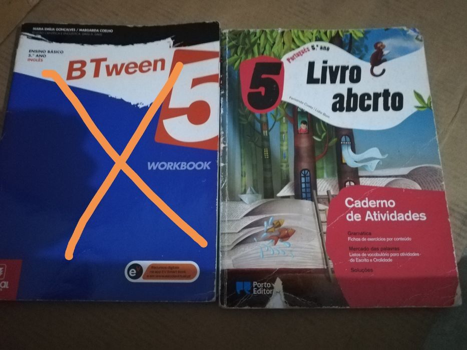 Cadernos de atividades 5° e 6° ano