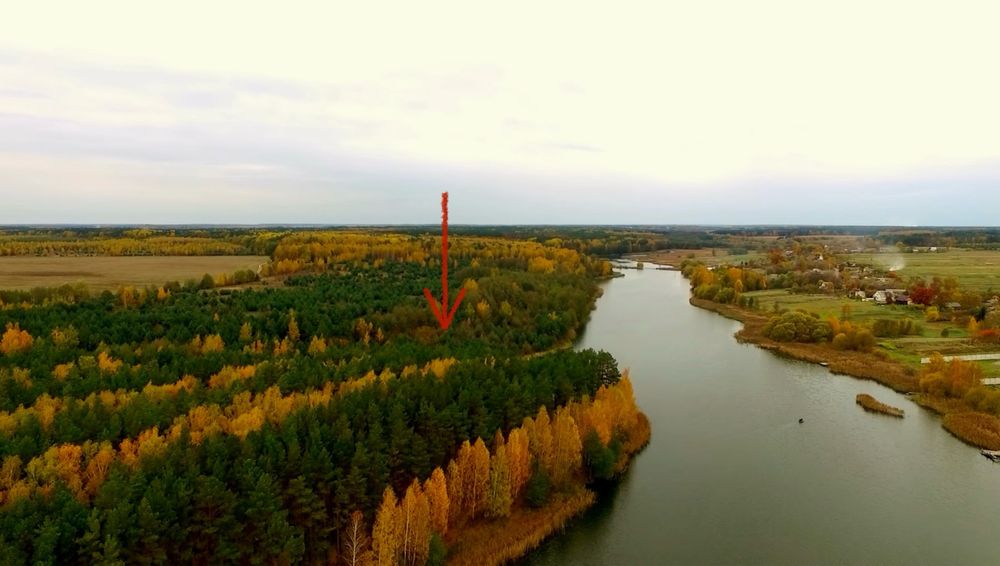 Продам 3,2 Га ОСГ на березі, на пагорбі, ліс