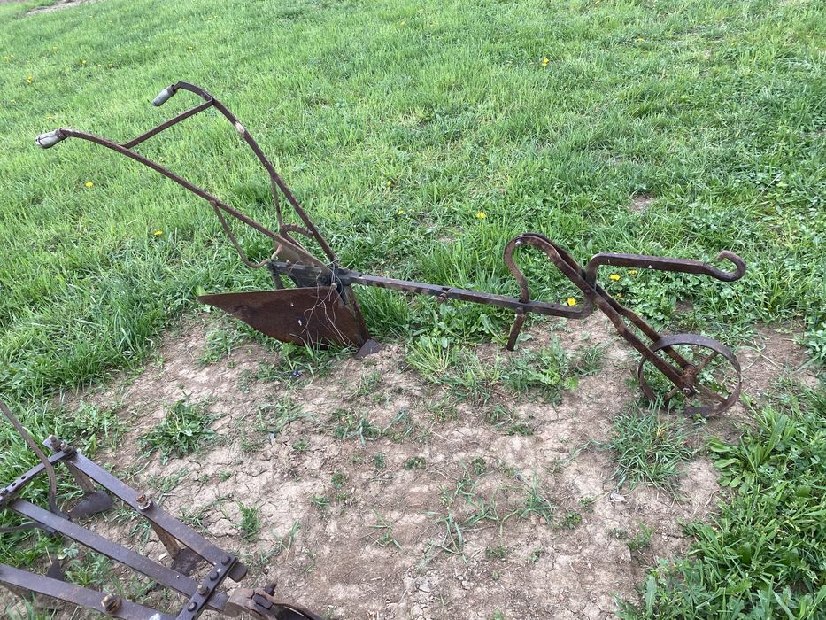 Obsypnik płużek konny