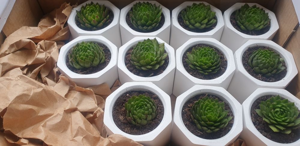 Podziękowanie dla gości