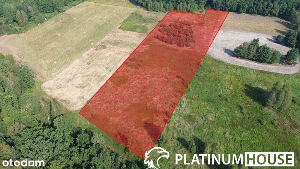 Nowa Cena!! Kiełpin!