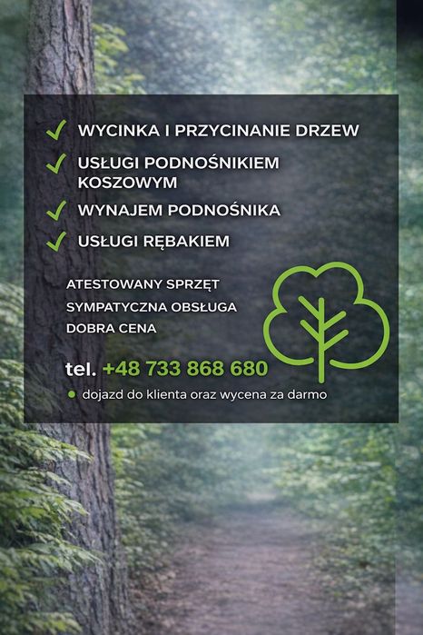 Wycinka drzew, przycinanie gałęzi, podnośnik koszowy