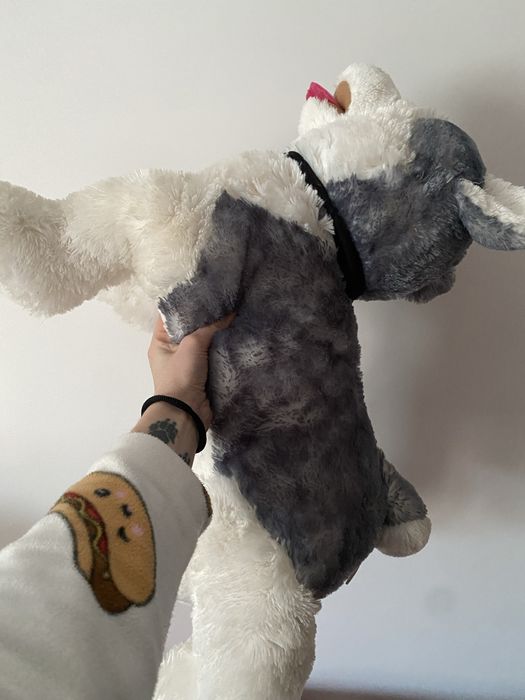 Peluches grandes husky e urso sValentim