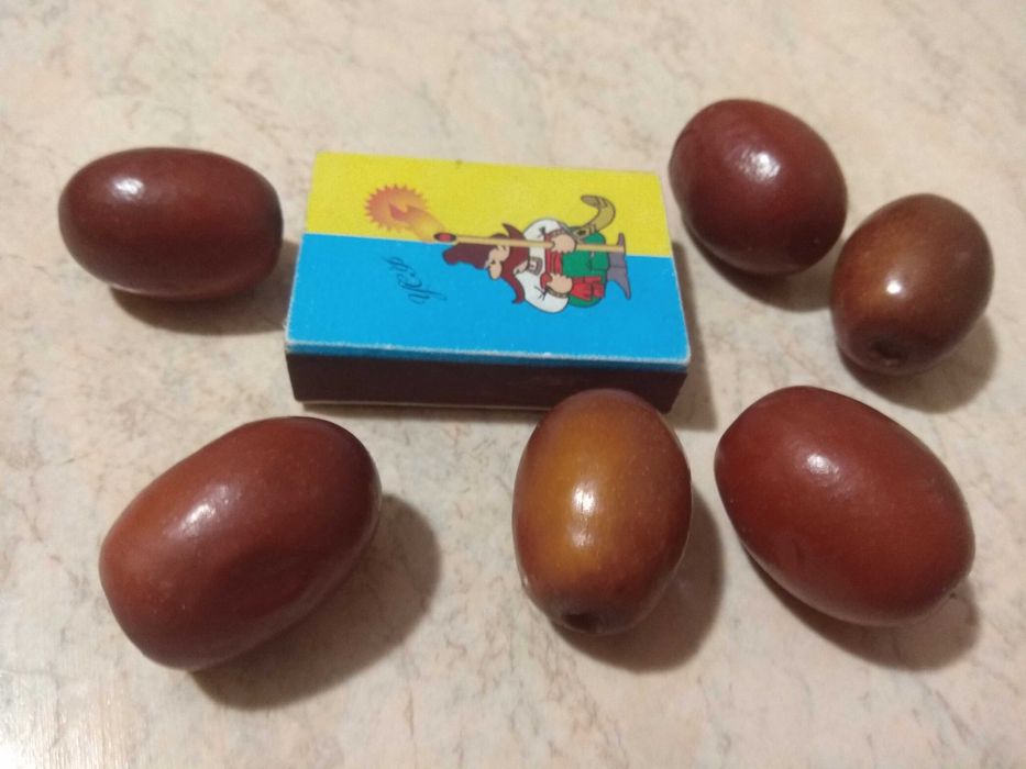 Саженец унаби,зизифус,китайский финик