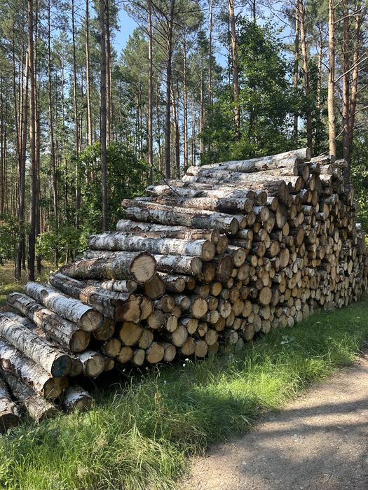 Drewno wałki kominkowe opałowe grube swietna jakosc