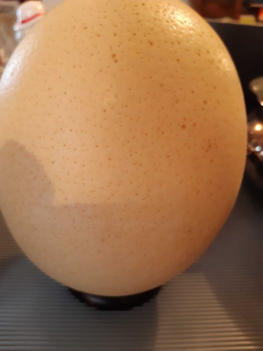 Artesanato antigo ovo de avestruz vazios e pintados à mão