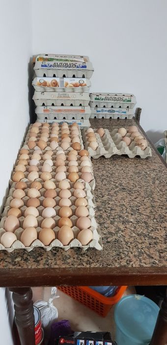 Ovos caseiros deliciosos