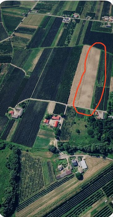Działka 1,40 ha, nr 420, Kleczanów, gmina Obrazów: zaorana, równa, asfalt