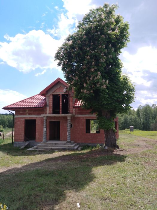 Dom wolnostojący