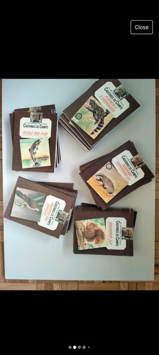 Coleção Cadernos de Campo