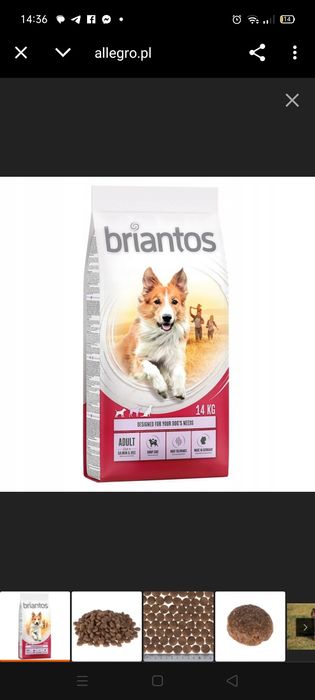 Briantos karma do psa łosoś z ryzem