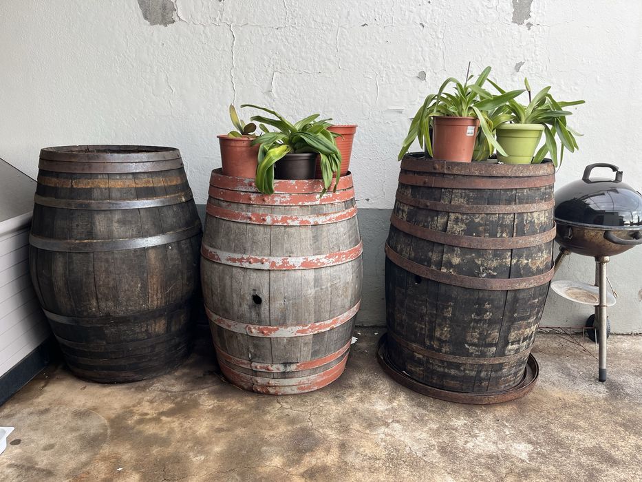 Barris de vinho funchal