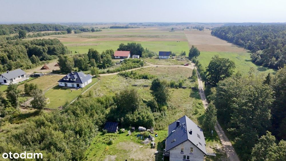 Zdjęcie 2
