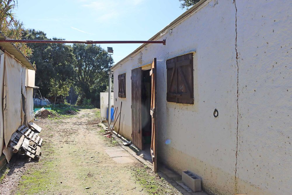 Aluguer Boxes para Cavalos