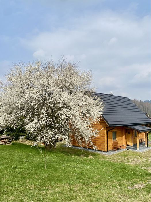 Domek sam na posesji  pod śliwką Baligród Bieszczady