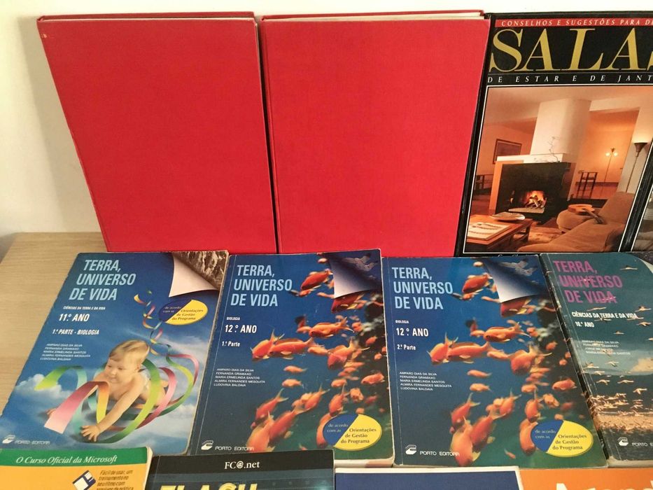 Lote de 31 livros
