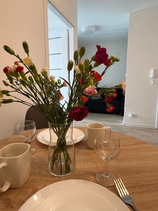 Apartamenty Nova Mikołowska