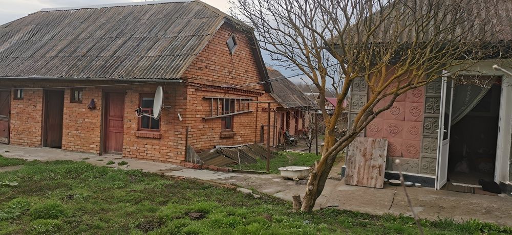 Будинок Малиничі є садок, велика ділянка 25сот. 43450