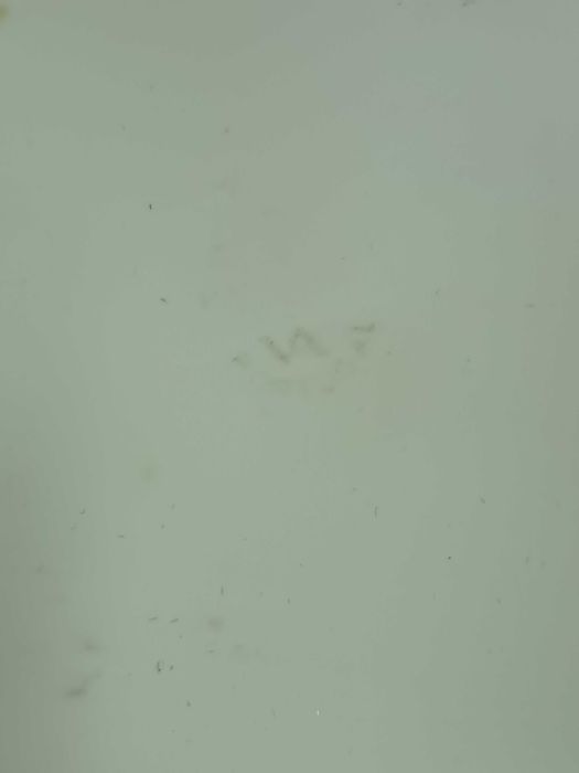 Raro Covilhete em Porcelana da Vista Alegre Anos 60