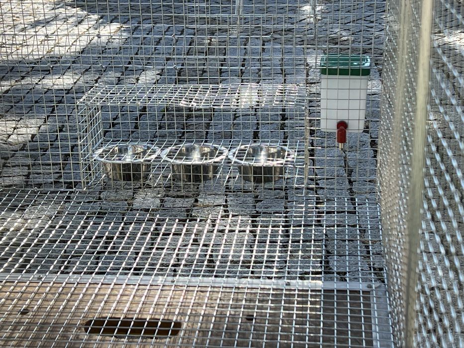 Viveiros para aves por medida